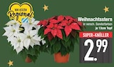 E center Wasserburg - Weihnachtsstern Angebot im Prospekt Weihnachtsstern bei E center im Wasserburg Prospekt für 2,99 €