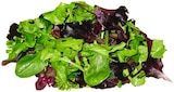 Wildkräuter Salat im Angebot bei REWE in Heilbronn Wildkräuter Salat Angebote von REWE Beste Wahl bei REWE Heilbronn für 1,11 €