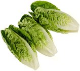 Aktuelles Romana Salatherzen Angebot bei REWE in Frankfurt (Main) ab 1,49 €
