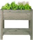 Thomas Philipps Quedlinburg - Hochbeet Angebot im Prospekt Hochbeet bei Thomas Philipps im Quedlinburg Prospekt für 27,95 €