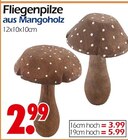 Fliegenpilze Angebote bei Wreesmann Dresden für 2,99 €