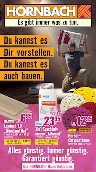 Aktueller Hornbach Prospekt für Hünstetten und Ungebung, Seiten zum blättern Hornbach Prospekt Du kannst es Dir vorstellen. Du kannst es auch bauen. mit Seiten in Hünstetten und Umgebung