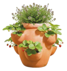 Erdbeer- und Kräutertopf Giardino Angebote bei BayWa Bau- und Gartenmärkte Würzburg für 39,99 €