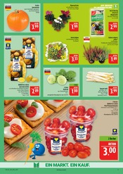 Aktueller Marktkauf Prospekt mit Kartoffeln, "AUSWAHL RIESIG, PREISE NIEDRIG", Seite 9