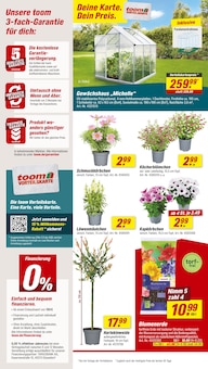 Aktueller toom Baumarkt Prospekt