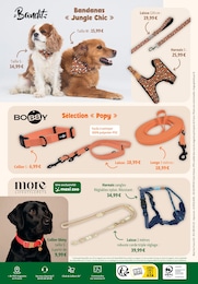 Offre Collier dans le catalogue Maxi Zoo du moment à la page 6