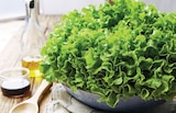 Super U Saint-Germain-la-Blanche-Herbe - Promo Salade Batavia Promo Salade Batavia à 0,89 € dans le catalogue Super U à Saint-Germain-la-Blanche-Herbe