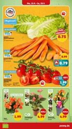 Möhren Angebot & Preis im aktuellen Penny Prospekt Möhren Angebot im aktuellen Penny Prospekt auf Seite 3
