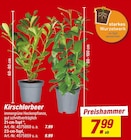 toom Baumarkt Zeven Prospekt mit  im Angebot für 7,99 €