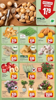 Pflanzen im aktuellen REWE Prospekt (Bochum) Pflanzen im REWE Prospekt "Dein Markt" mit 18 Seiten (Bochum)