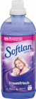 Weichspüler im Angebot bei Netto Marken-Discount in Worms Weichspüler Angebote von Softlan bei Netto Marken-Discount Worms für 9,99 €