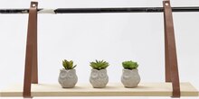 Succulente dans pot forme Hibou 8 cm - Géant Casino à Saint-Germain-en-Laye Succulente dans pot forme Hibou 8 cm en promo chez Géant Casino Saint-Germain-en-Laye à 1,90 €