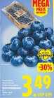 WEZ Stadthagen Prospekt mit  im Angebot für 3,49 €
