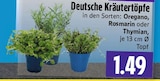 Oregano bei EDEKA im Beselich Prospekt für 1,49 €