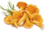Pfifferlinge Angebote bei Netto mit dem Scottie Elmshorn für 2,29 €