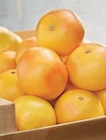 Promo POMELO à 1,50 € dans le catalogue Intermarché à Niort