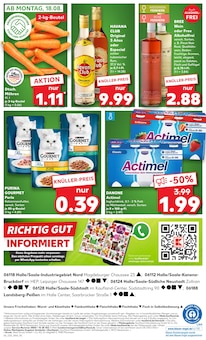 Katzenfutter im aktuellen Kaufland Prospekt (Halle (Saale)) Katzenfutter im Kaufland Prospekt "KNÜLLER" mit 58 Seiten (Halle (Saale))