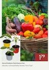 Verschiedene Gemüsesorten im aktuellen Pflanzen Kölle Prospekt