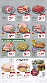 Aktueller famila Nordwest Prospekt mit Rumpsteak, "Markt - Angebote", Seite 5