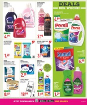 Katzenfutter im Marktkauf Prospekt in Voerde Aktueller Marktkauf Prospekt mit Katzenfutter, "Aktuelle Angebote", Seite 19