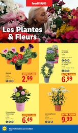 Offre Jardinage dans le catalogue Lidl du moment à la page 26