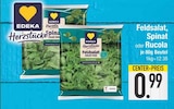 Feldsalat, Spinat oder Rucola von EDEKA im aktuellen EDEKA Prospekt für 0,99 €