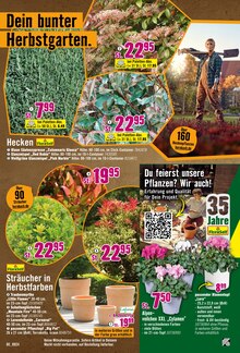 Blumentopf im Hornbach Prospekt "Energieverlust? Nicht mit Dir." mit 27 Seiten (Karlsruhe)