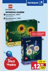 Botanicals Sonnenblumen Angebote von LEGO bei Marktkauf Ravensburg für 12,99 €