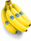 Aktuelle Bananen Angebote bei Netto Marken-Discount in Osnabrück Aktuelles Bananen Angebot bei Netto Marken-Discount in Osnabrück ab 1,75 €