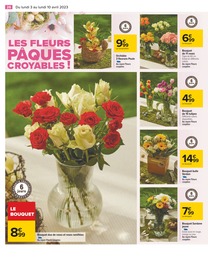 Offre Orchidée dans le catalogue Carrefour du moment à la page 26