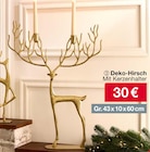 Deko-Hirsch von  im aktuellen Woolworth Prospekt für 30,00 €