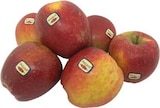 EDEKA Ladbergen - Tafeläpfel „Wellant“ Angebot im Prospekt Tafeläpfel „Wellant“ bei EDEKA im Ladbergen Prospekt für 2,22 €