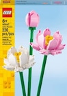 Blume Botanical Collection von LEGO im aktuellen Netto mit dem Scottie Prospekt