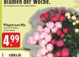Pfingstrosen-Mix bei EDEKA im Mettmann Prospekt für 4,99 €