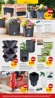 Blumentopf im Penny Prospekt "Wer günstig will, muss Penny." mit 43 Seiten (Hildesheim)