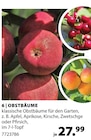 OBSTBÄUME Angebote bei Dehner Garten-Center Haltern am See für 27,99 €