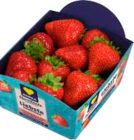 Erdbeeren bei Frischemarkt Prill im Prospekt "" für 3,49 €