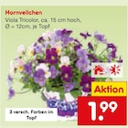 Hornveilchen Angebote bei Netto Marken-Discount Ravensburg für 1,99 €