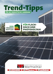 Aktueller E. WERTHEIMER Baumärkte Prospekt für Ittlingen: Trend-Tipps FÜR DIE ENERGETISCHE SANIERUNG mit 6} Seiten, 04.10.2024 - 13.10.2024