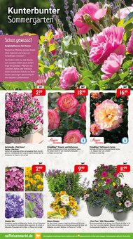 Kissen im Raiffeisenmarkt Prospekt "Gartenzeit & Spielspaß Wohlfühlen für alle" mit 12 Seiten (Münster)