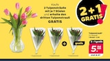 Aktuelles Tulpenstrauß Angebot bei Netto mit dem Scottie in Lübeck ab 5,98 €