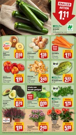 Blumen im REWE Prospekt in Hamm Aktueller REWE Prospekt mit Blumen, "Dein Markt", Seite 5