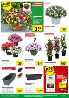Hagebaumarkt Prospekt der Woche "So günstig geht das!" Seite 2, 11.04.2026 bis 18.04.2026 für Belzig Aktueller Hagebaumarkt Prospekt "So günstig geht das!" Seite 2 von 16 Seiten für Belzig