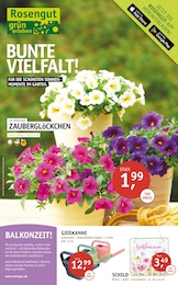 Aktueller ROSENGUT Langerwisch Prospekt, "BUNTE VIELFALT!", mit Angeboten der Woche, gültig von 29.04.2026 bis 29.04.2026