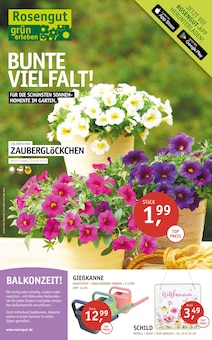 ROSENGUT Langerwisch Prospekt BUNTE VIELFALT! mit 12 Seiten