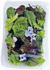 Aktuelle Salat Angebote bei Markant Nordwest in Bielefeld Aktuelles Blütenmixsalat Angebot bei Markant Nordwest in Bielefeld ab 1,49 €