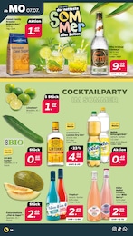 Netto mit dem Scottie Schnaps im Prospekt Netto mit dem Scottie Schnaps im Prospekt