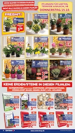 Ähnliche Natursteine Angebote im Prospekt "Da geht was." von CENTERSHOP in Mönchengladbach Ähnliche Angebote wie Natursteine im Prospekt "Da geht was." auf Seite 8 von CENTERSHOP in Mönchengladbach
