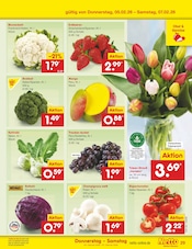 Mango im Netto Marken-Discount Prospekt in Wismar Aktueller Netto Marken-Discount Prospekt mit Mango, "Aktuelle Angebote", Seite 35