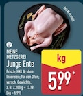 Junge Ente Angebote von Meine Metzgerei bei ALDI Nord Dresden für 5,99 €